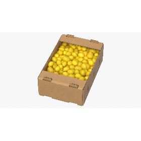 3D model Cardboard Display Box 01 with Lemons